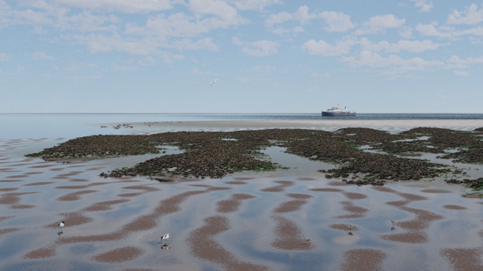 A computer simulation of a tidal sandbank, based on mathematical models.