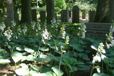 Maria Rust cemetery in Rockanje (© Op Voorne-Putten)