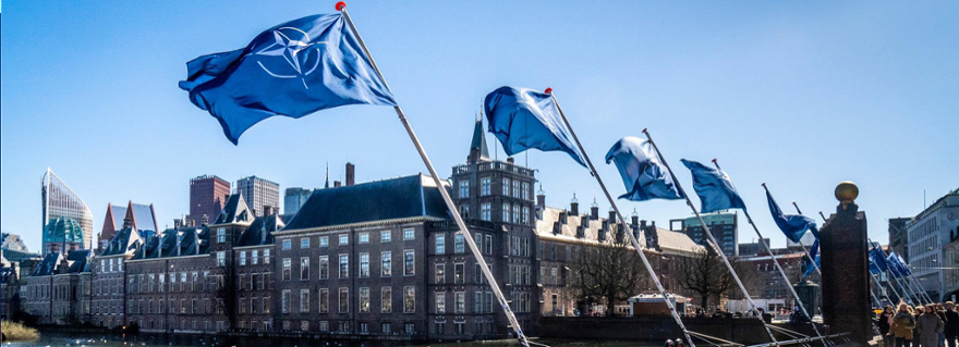 A row of NATO flags flying next to the Hofvijver in The Hague.