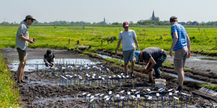 Picture Sustainability and Biodiversity