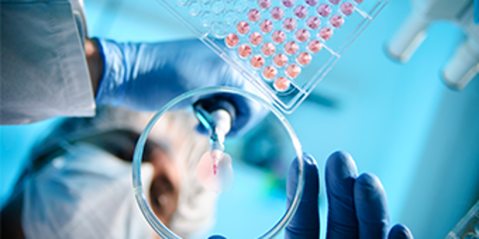 Afbeelding drug discovery