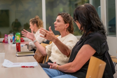 Three of the professionals at a table, one of them is talking and moving her hands.