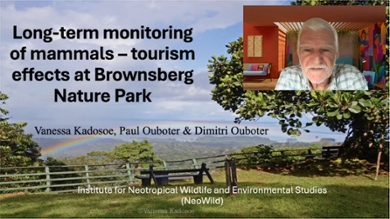 Paul Ouboter (NeoWild, AdeKUS): Long-term monitoring of mammals – tourism effects at Brownsberg Nature Park