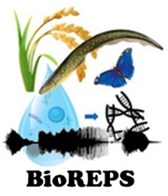 Logo BioREPS