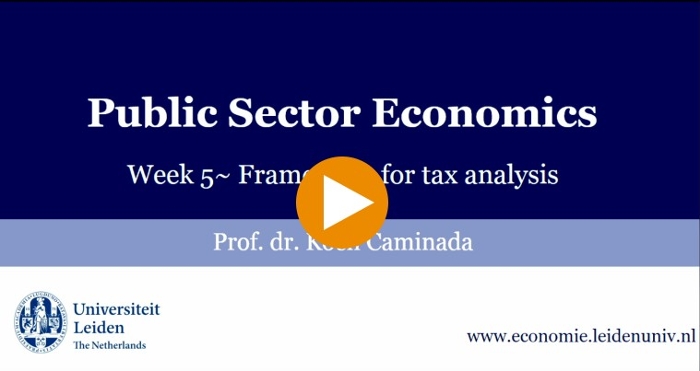 Web lecture public sector economics