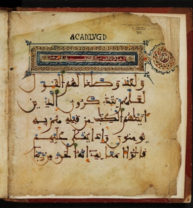 Polychrome fragment of the Qur’an from North Africa, parchment, 12th century CE, Raphelengius collection. [UBL Or. 251]